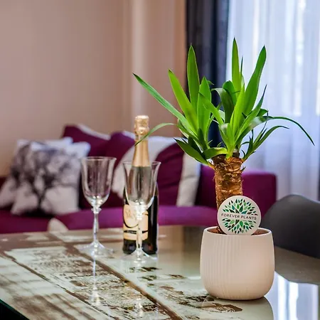 로빈 시티 아파트먼트 아파트 로비니