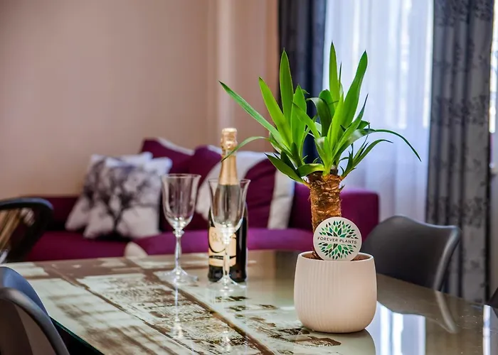 Rovinj City Apartment Apartment Rovinj